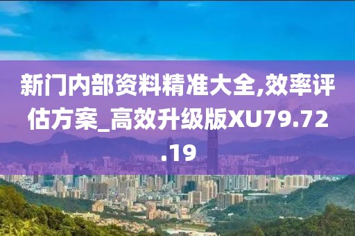 新门内部资料精准大全,效率评估方案_高效升级版XU79.72.19