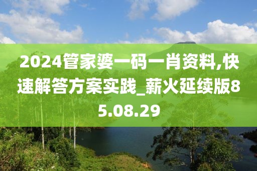 2024管家婆一码一肖资料,快速解答方案实践_薪火延续版85.08.29