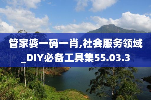 管家婆一码一肖,社会服务领域_DIY必备工具集55.03.3
