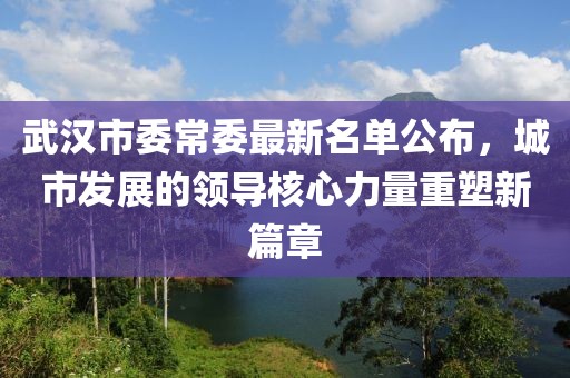 武汉市委常委最新名单公布，城市发展的领导核心力量重塑新篇章