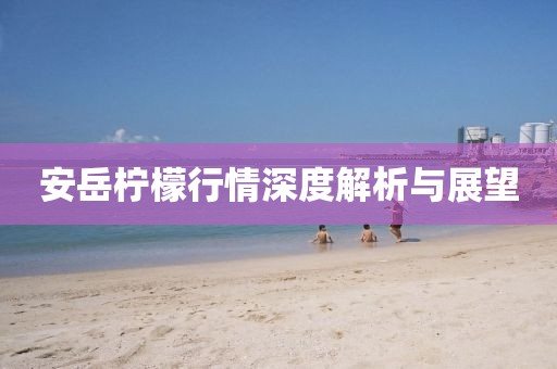 安岳柠檬行情深度解析与展望