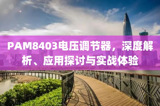 PAM8403电压调节器，深度解析、应用探讨与实战体验