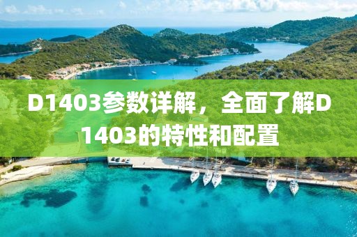 D1403参数详解，全面了解D1403的特性和配置