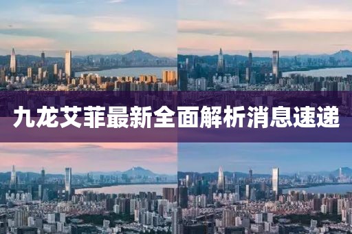 九龙艾菲最新全面解析消息速递