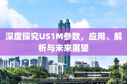 深度探究US1M参数，应用、解析与未来展望