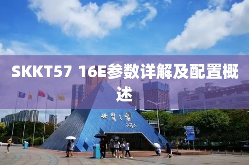 襟上花 第38页