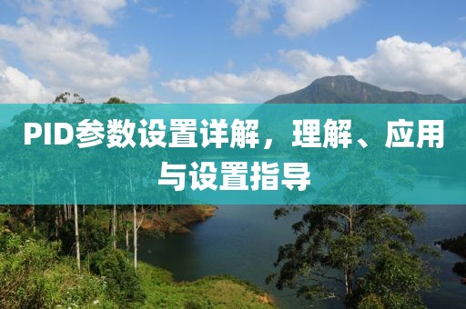 PID参数设置详解，理解、应用与设置指导