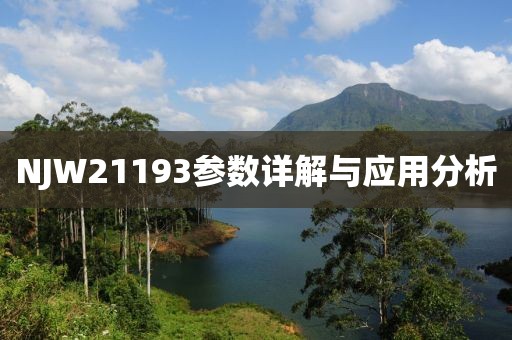 NJW21193参数详解与应用分析