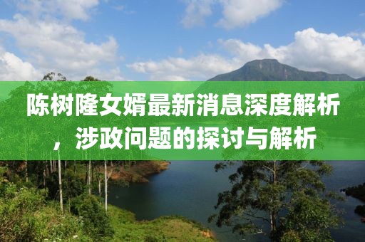 陈树隆女婿最新消息深度解析，涉政问题的探讨与解析