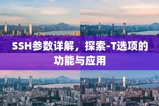 SSH参数详解，探索-T选项的功能与应用
