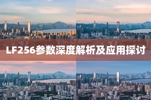 LF256参数深度解析及应用探讨