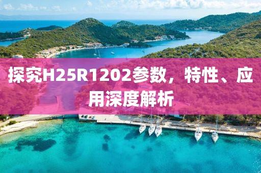 探究H25R1202参数，特性、应用深度解析