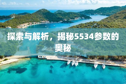 探索与解析，揭秘5534参数的奥秘