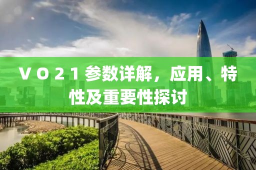 V O 2 1 参数详解，应用、特性及重要性探讨