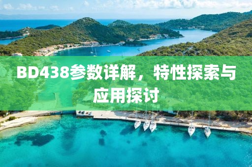 BD438参数详解，特性探索与应用探讨