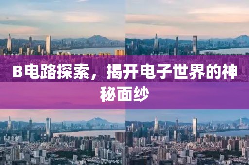 B电路探索，揭开电子世界的神秘面纱