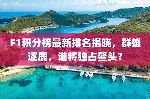 F1积分榜最新排名揭晓，群雄逐鹿，谁将独占鳌头？