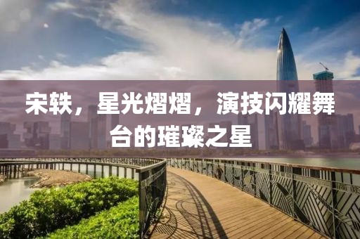 宋轶，星光熠熠，演技闪耀舞台的璀璨之星