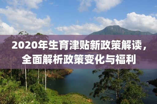 2020年生育津贴新政策解读，全面解析政策变化与福利
