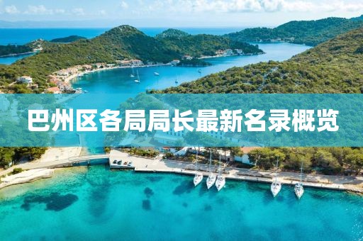 巴州区各局局长最新名录概览