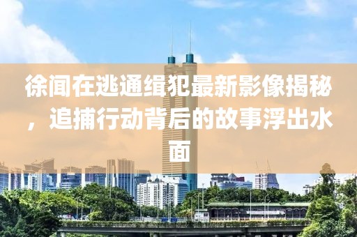 徐闻在逃通缉犯最新影像揭秘，追捕行动背后的故事浮出水面