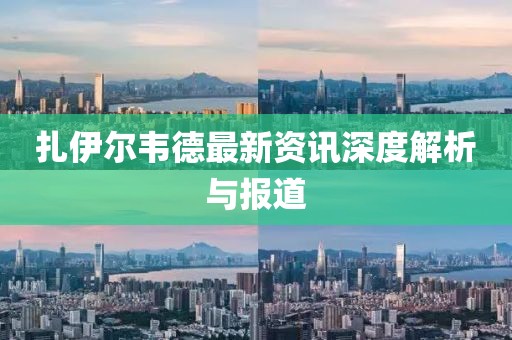 扎伊尔韦德最新资讯深度解析与报道