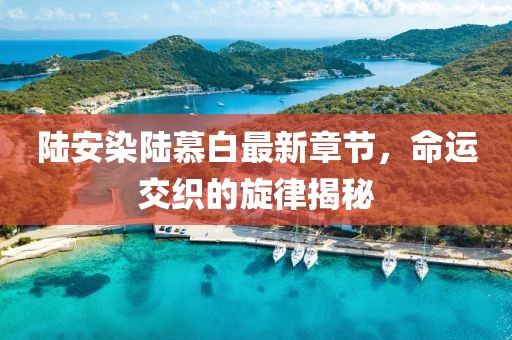 陆安染陆慕白最新章节，命运交织的旋律揭秘