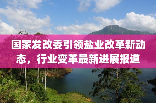 国家发改委引领盐业改革新动态，行业变革最新进展报道