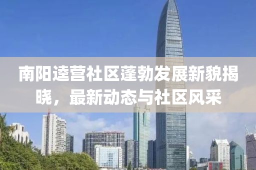 南阳逵营社区蓬勃发展新貌揭晓，最新动态与社区风采