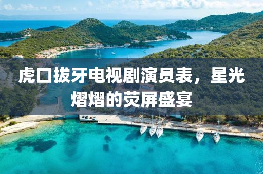 虎口拔牙电视剧演员表，星光熠熠的荧屏盛宴