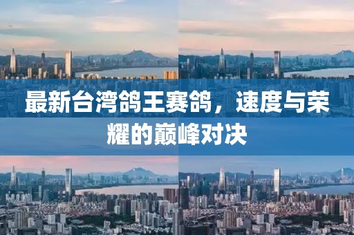 最新台湾鸽王赛鸽，速度与荣耀的巅峰对决