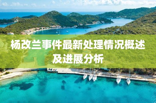 杨改兰事件最新处理情况概述及进展分析