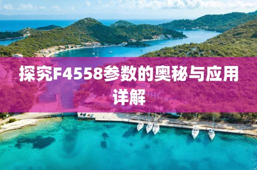 探究F4558参数的奥秘与应用详解