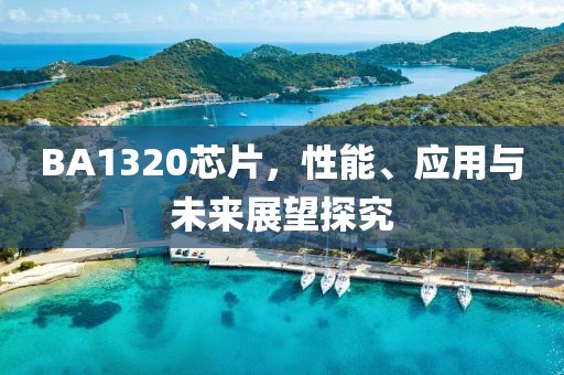 BA1320芯片，性能、应用与未来展望探究