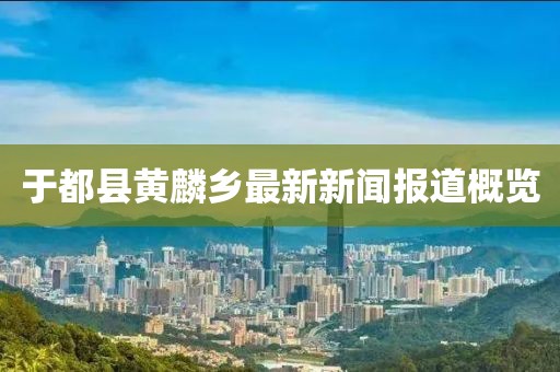 于都县黄麟乡最新新闻报道概览