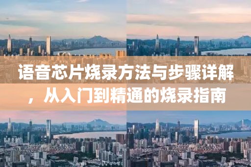 语音芯片烧录方法与步骤详解，从入门到精通的烧录指南