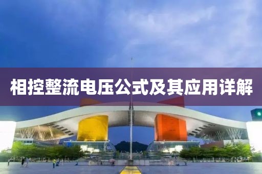 事往人 第38页
