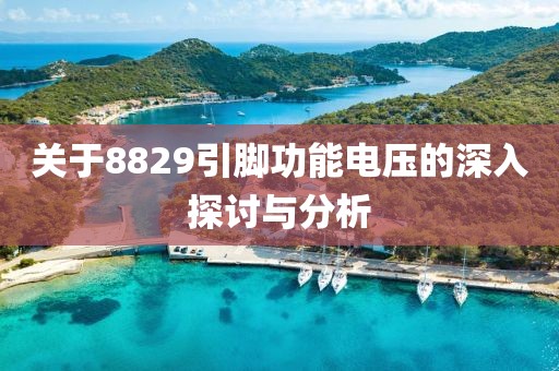 关于8829引脚功能电压的深入探讨与分析