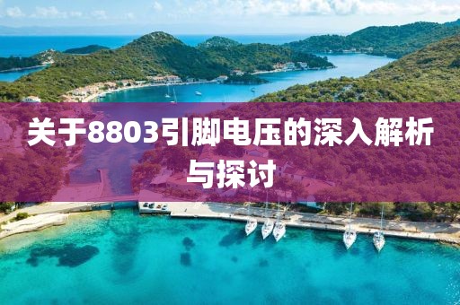 关于8803引脚电压的深入解析与探讨