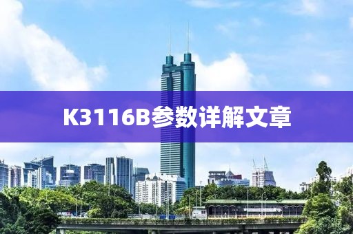 K3116B参数详解文章