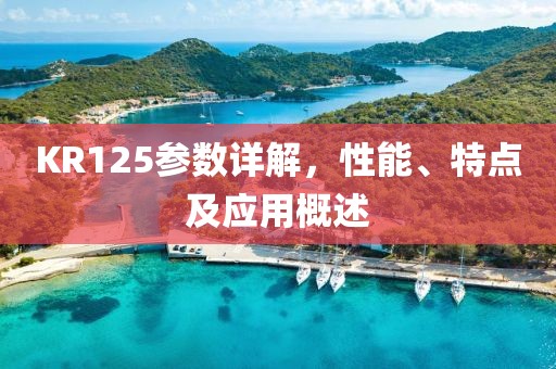 KR125参数详解，性能、特点及应用概述