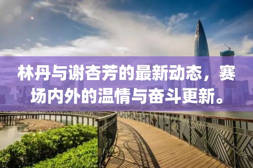 林丹与谢杏芳的最新动态，赛场内外的温情与奋斗更新。
