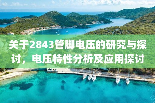 关于2843管脚电压的研究与探讨，电压特性分析及应用探讨