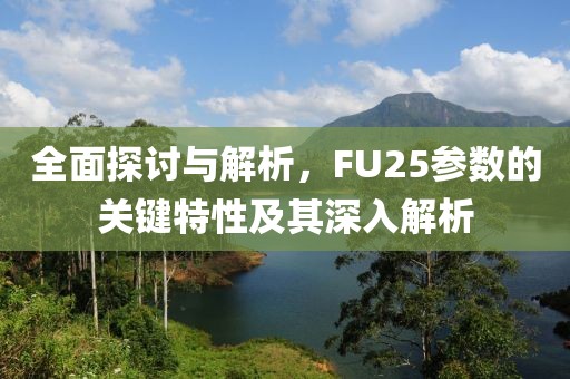 全面探讨与解析，FU25参数的关键特性及其深入解析