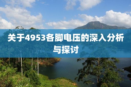 关于4953各脚电压的深入分析与探讨