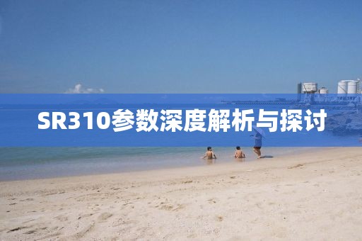 SR310参数深度解析与探讨