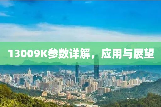 13009K参数详解，应用与展望