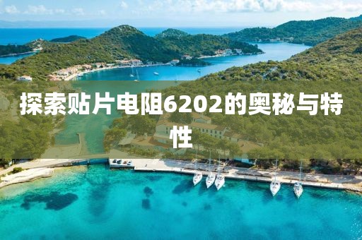 探索贴片电阻6202的奥秘与特性