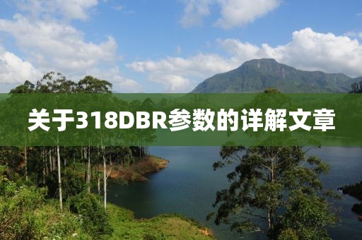 关于318DBR参数的详解文章
