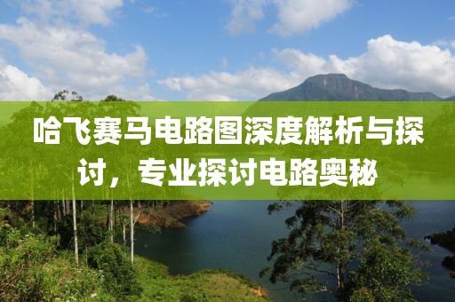 哈飞赛马电路图深度解析与探讨，专业探讨电路奥秘